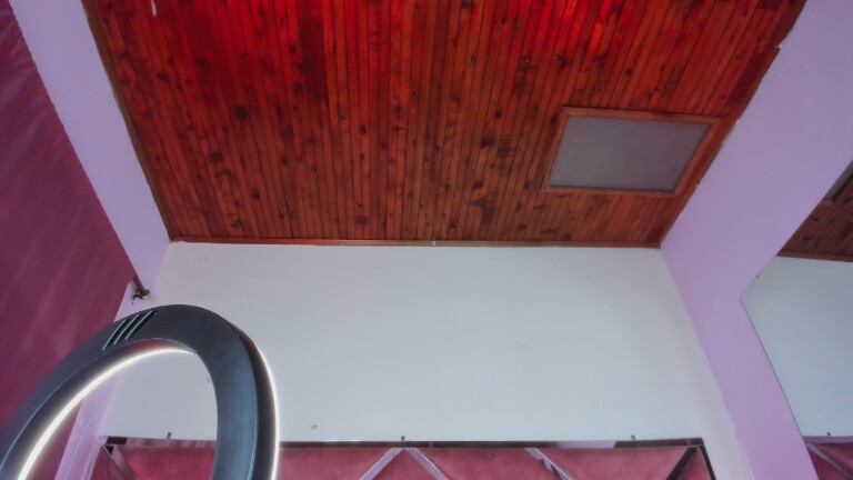 MeganDangelo's Streamate show and profile